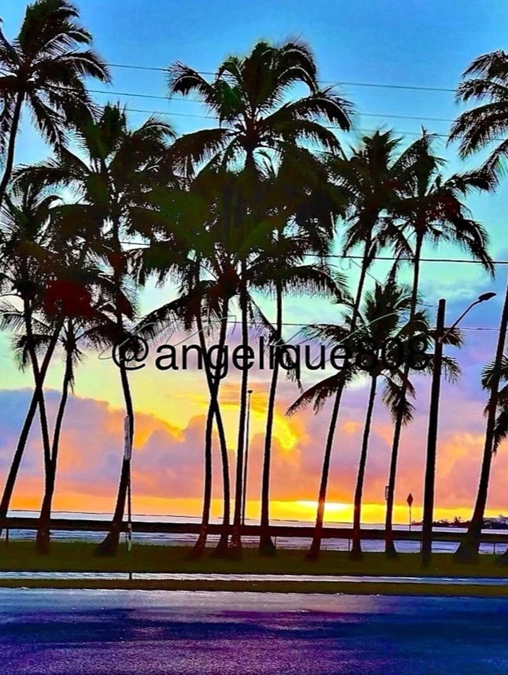 Palm Tree Sunset Photograph